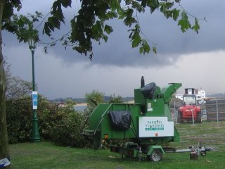 JARDINERIA (17)